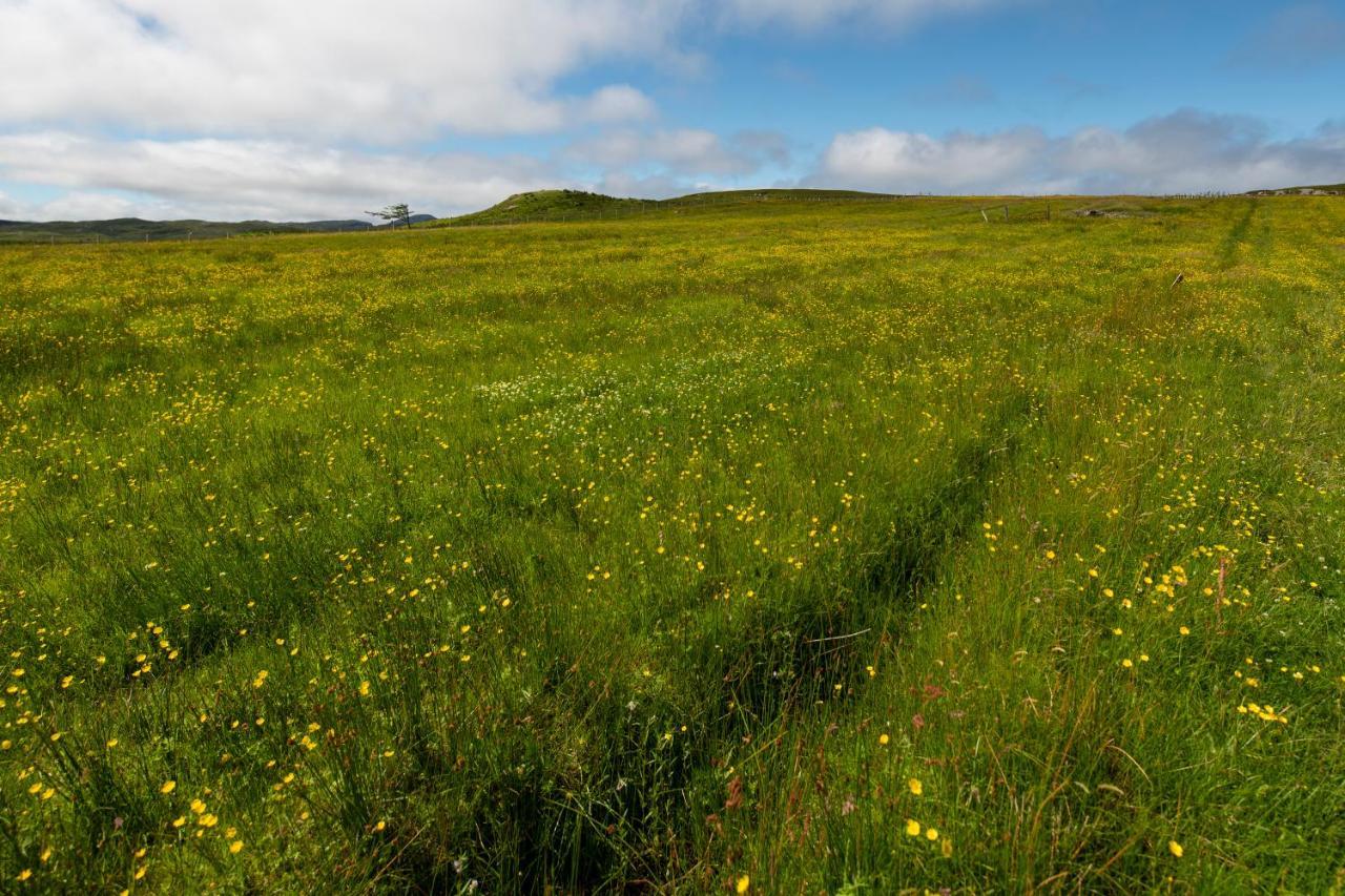 21 Callanish Luxury Pod Eksteriør billede