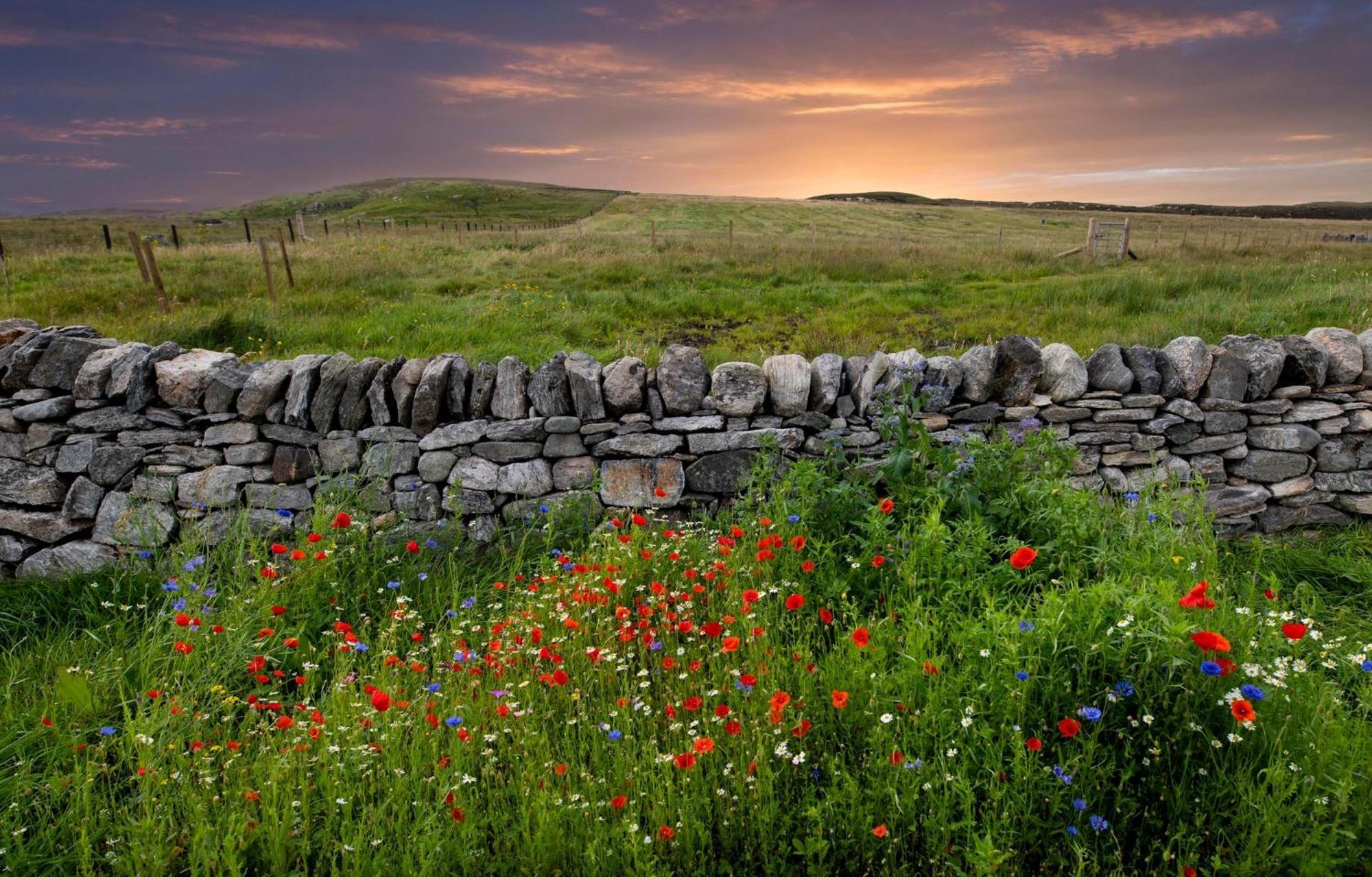 21 Callanish Luxury Pod Eksteriør billede